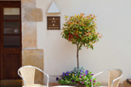 RESTAURANTE LA CASA DEL PATRON