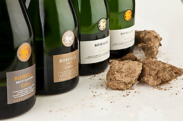 BODEGA BOHIGAS