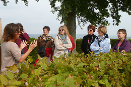 Sentier du Vigneron