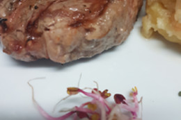 RESTAURANTE JARDINES LAS CONCHAS