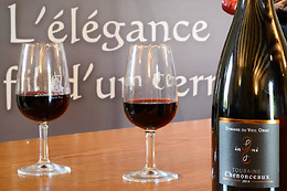 Domaine du Vieil Orme