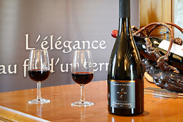 Domaine du Vieil Orme