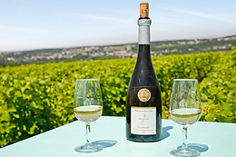 Domaine du Vieil Orme