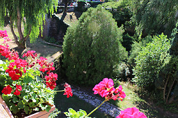 La Terrasse