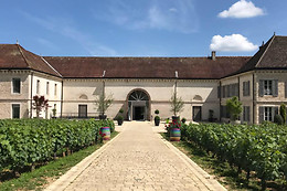 Vignobles et Vins Picard