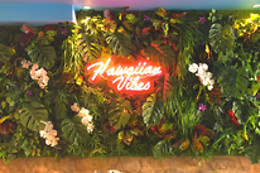 Hawaiian Poké Paris