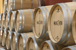 BODEGAS MALACUERA