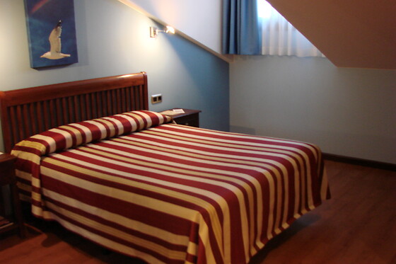 HOTEL BUFON DE ARENILLAS - photo 10