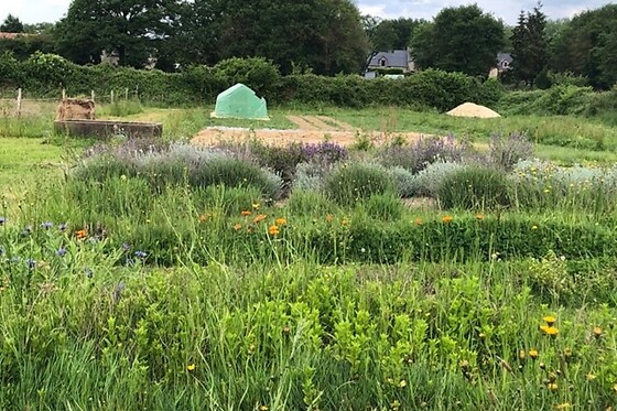 ô fil des Herbes, des Roulottes & des ânes - photo 3