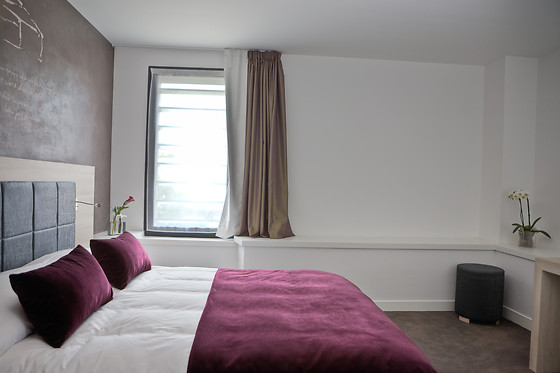 Best Western Villa Saint Antoine - photo 5