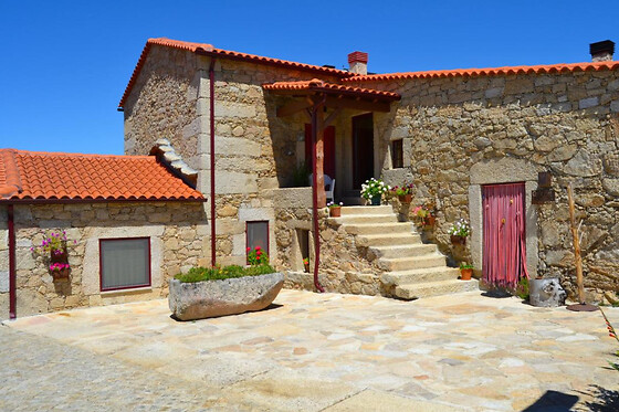 Carya Tallaya - photo 1