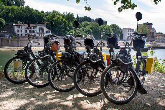 Le Brélon de Lyon - photo 0