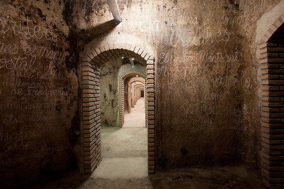 CELLER MASROIG - photo 4