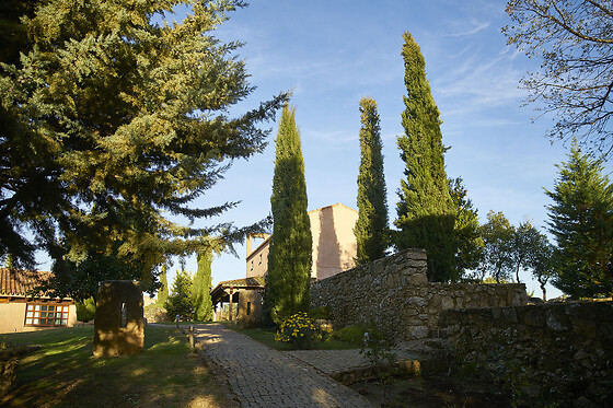 FINCA EL CORTIÑAL - photo 7