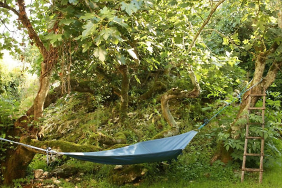 The Nest by Cooking and Nature - photo 11