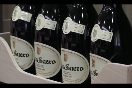 VILE LA FINCA - photo 4