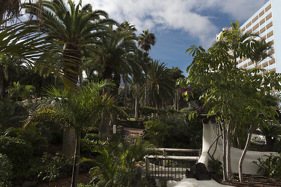 PRECISE RESORT TENERIFE - photo 14