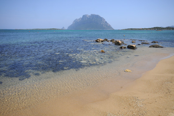 GRUPO ROYAL INN - photo 3