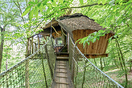 L'Arbre à Cabane