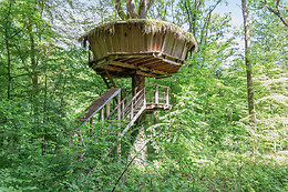 L'Arbre à Cabane