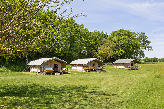 Les Anes de Forcalquier - photo 0