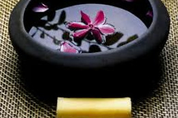 SPA HACIENDA LOS ROBLES