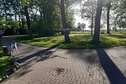 Blokker De Stient