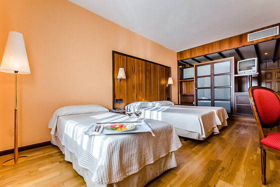 HOTEL DOÑA BRIGIDA - SALAMANCA FORUM - photo 23