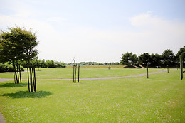 Corsendonk Duinse Polders