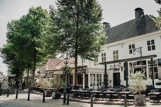 SNTZL. De Zwaan - photo 0