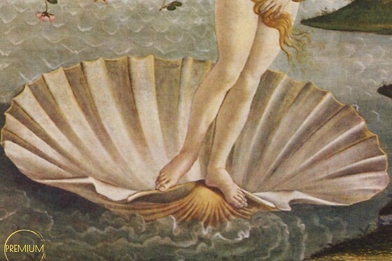 KAI SENSACIONES - photo 12
